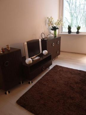 Apartament Hoża